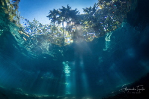 River with Sun Rays, Las Estacas México by Alejandro Topete 
